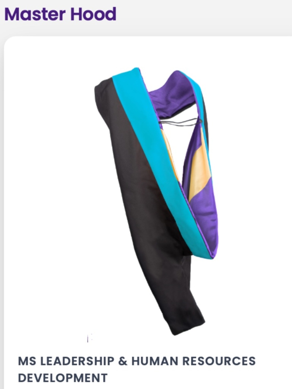 NEW LSU Masters Regalia HOOD Only (Louisiana Sate)